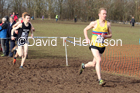 Senior men, 2020 British Athletics Inter Counties Cross Country Champs., Prestwold Hall, Loughborough. Photo: David T. Hewitson/Sports for All Pics